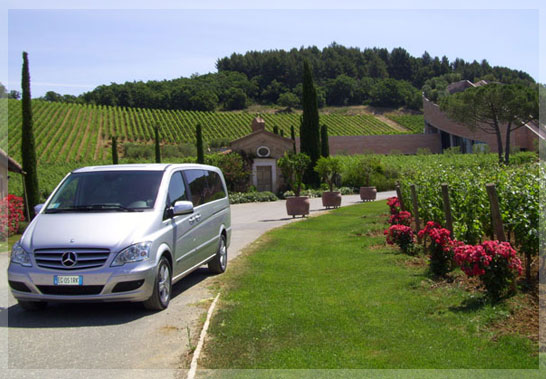 car-tour-rental