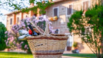 pic nic valdorcia (2)