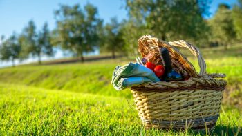 pic nic valdorcia (4)