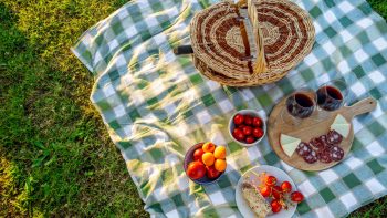pic nic valdorcia (6)